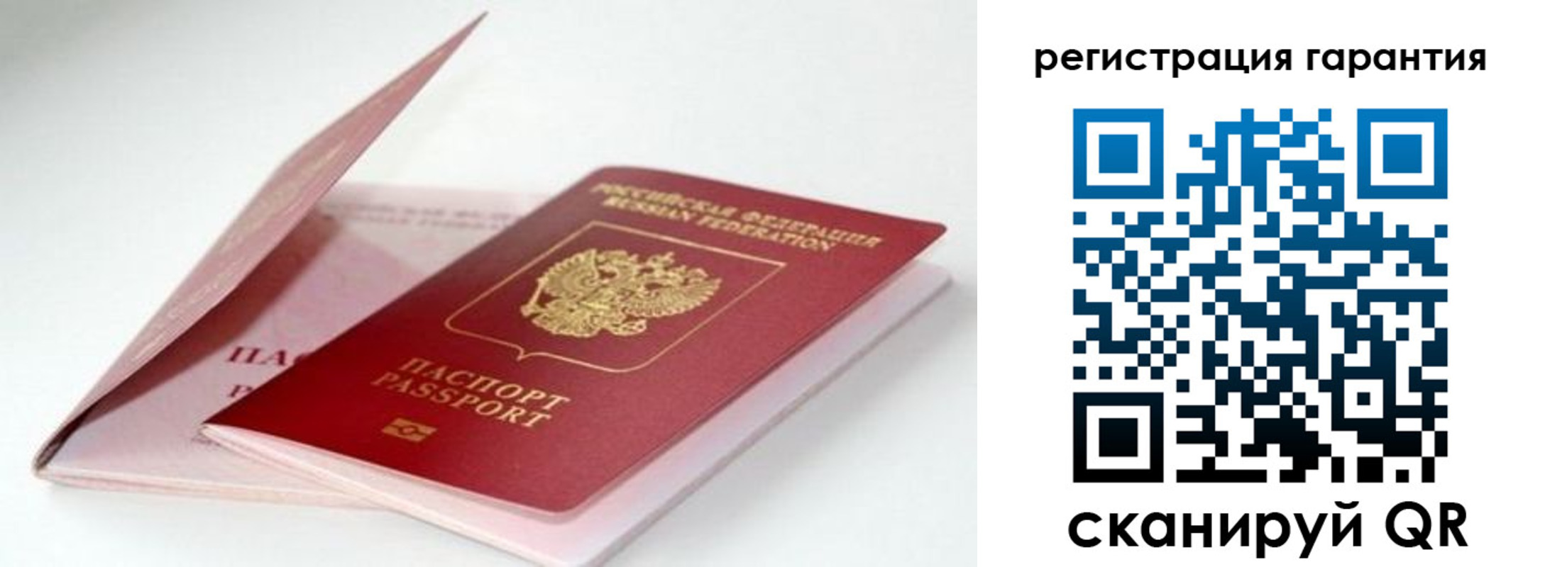 прописка гарантия в Рошале